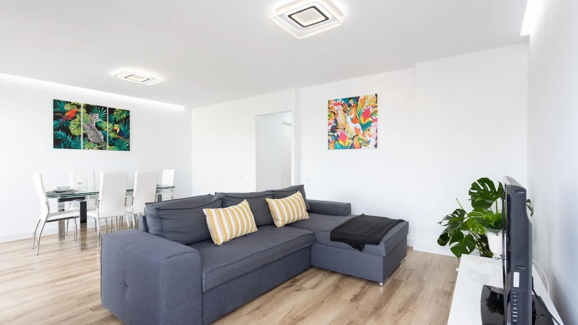 Mirador Plaza Del Charco Apartment Puerto de la Cruz  Puerto de la Cruz (Tenerife)